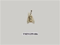 藏品(黑點白蠶蛾)的圖片